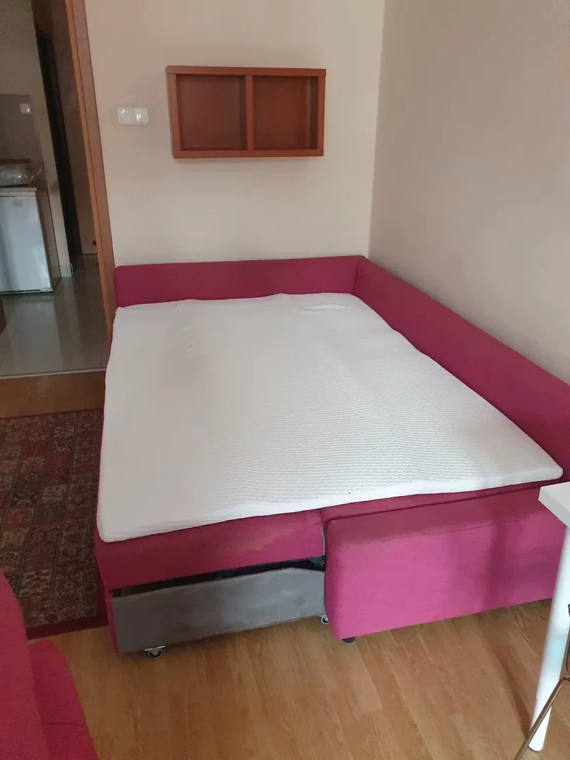 Comfortable and spacious student room in 
