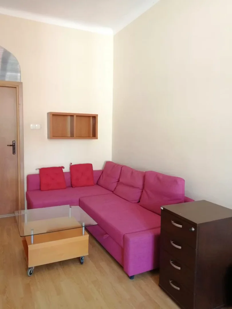 Room for rent in student apartment in , fully furnished