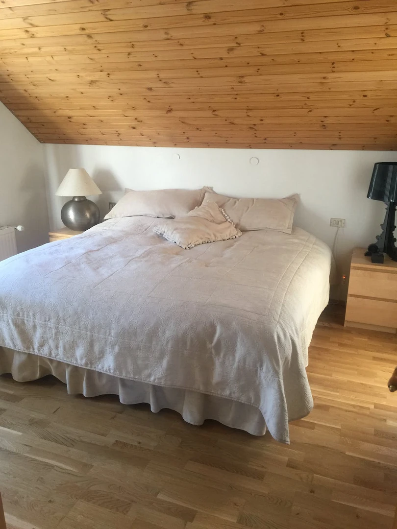 Pokój do wynajęcia z podwójnym łóżkiem w Reykjavík