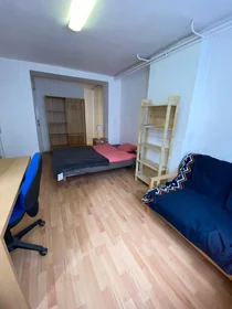 Privatzimmer in der Rue Louis Hap, Saint-Pierre, bild 2 von 10