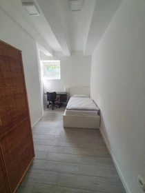 Room for rent in a shared flat in Ljubljana