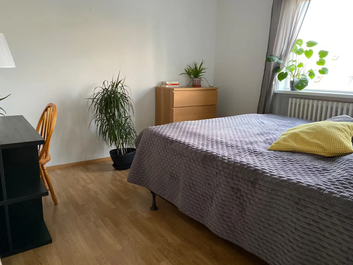 Student room in  with study area and shared facilities