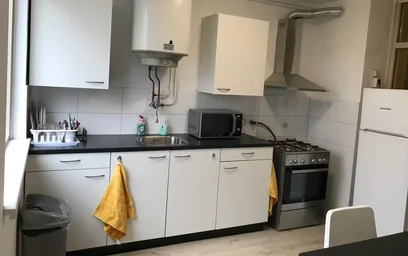 Habitación privada en Adriaan Dortsmanstraat, Prins Alexander, imagen 5 de 10