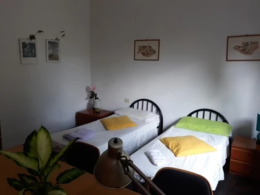 Cheap shared room in Siena