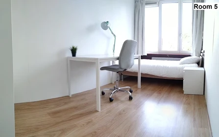 Renting rooms by the month in Rotterdam