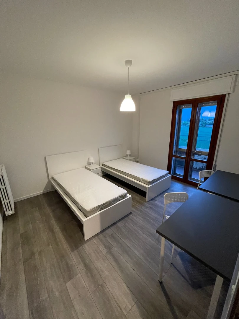 Cheap shared room in padova
