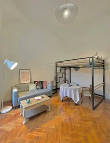 Chambre privée à Rue de l'École Normale, Caudéran, image 1 de 10