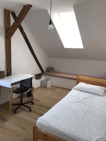 Bright private room in Ljubljana