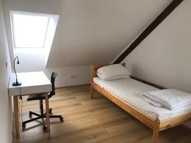 Cheap private room in Ljubljana