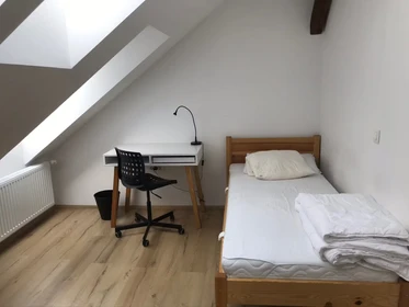 Renting rooms by the month in Ljubljana