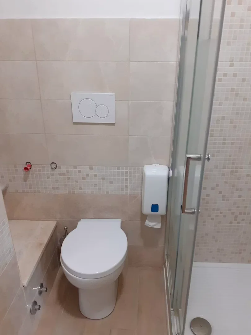 Room for rent in student apartment in , fully furnished