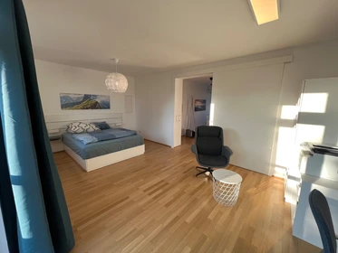 Bright private room in Linz