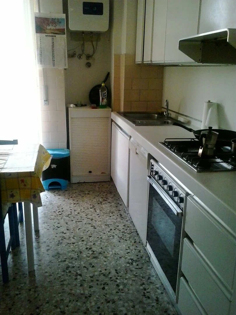 Alquiler de habitación en piso compartido en Piacenza