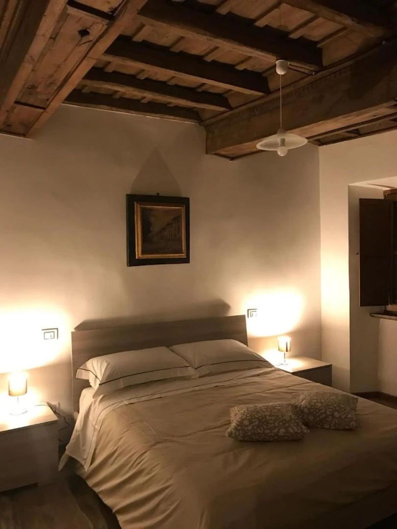 Bright shared room for rent in Viterbo