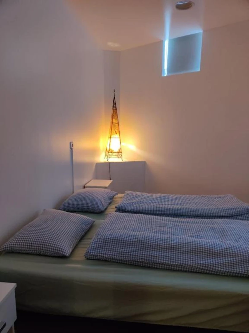 Reykjavík içinde aydınlık özel oda