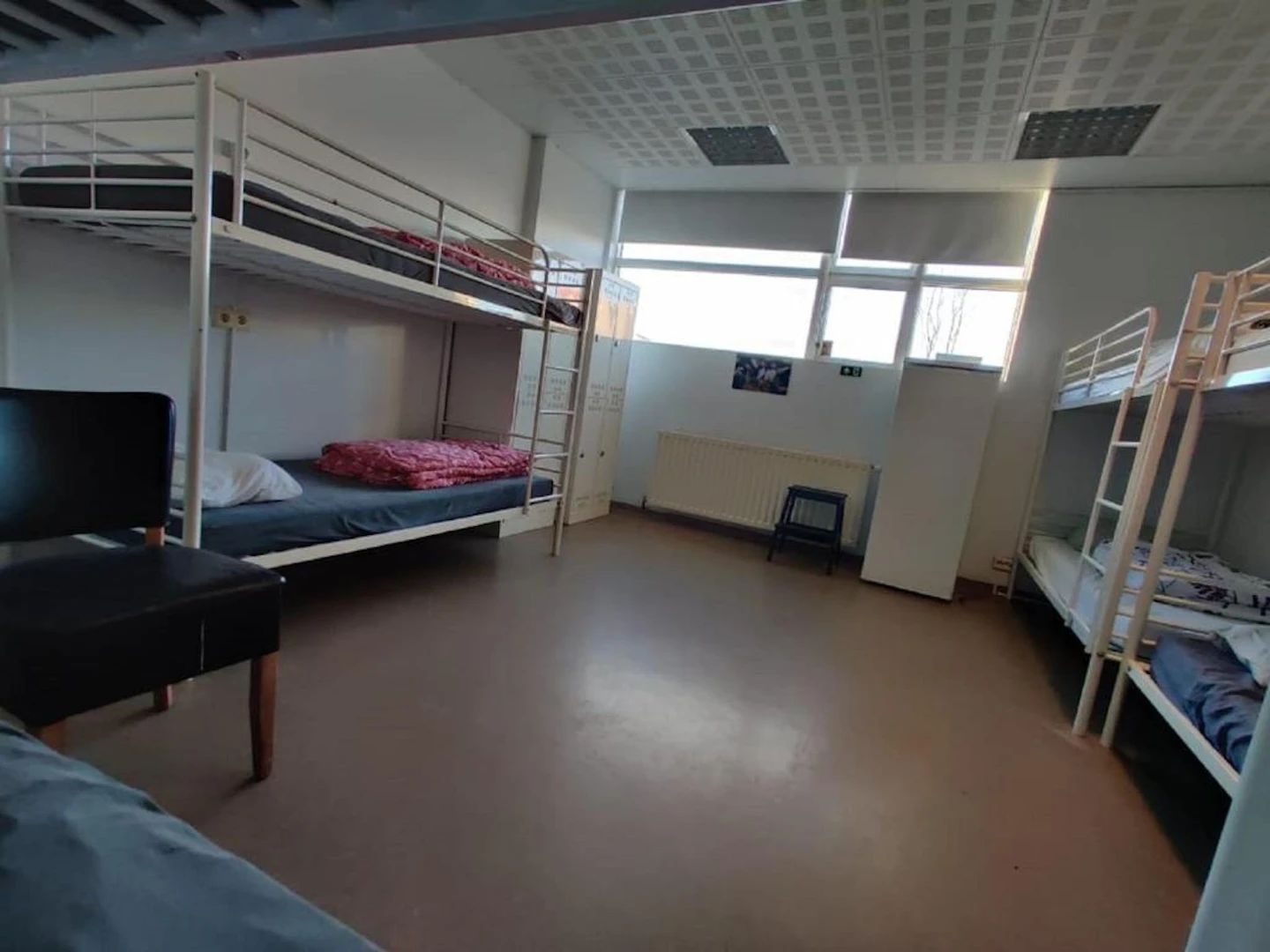Cheap shared room in Reykjavík
