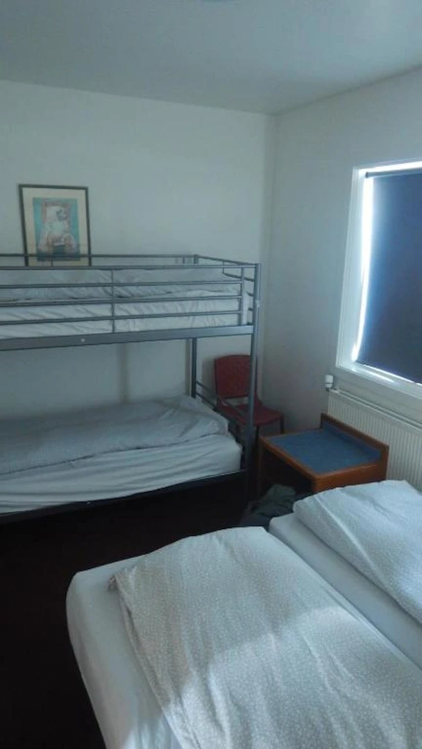 Reykjavík de başka bir öğrenci ile paylaşılan oda