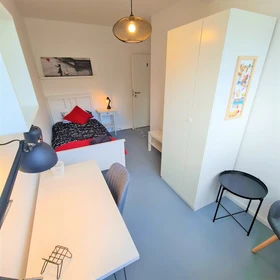 Room for rent in a shared flat in Bonn