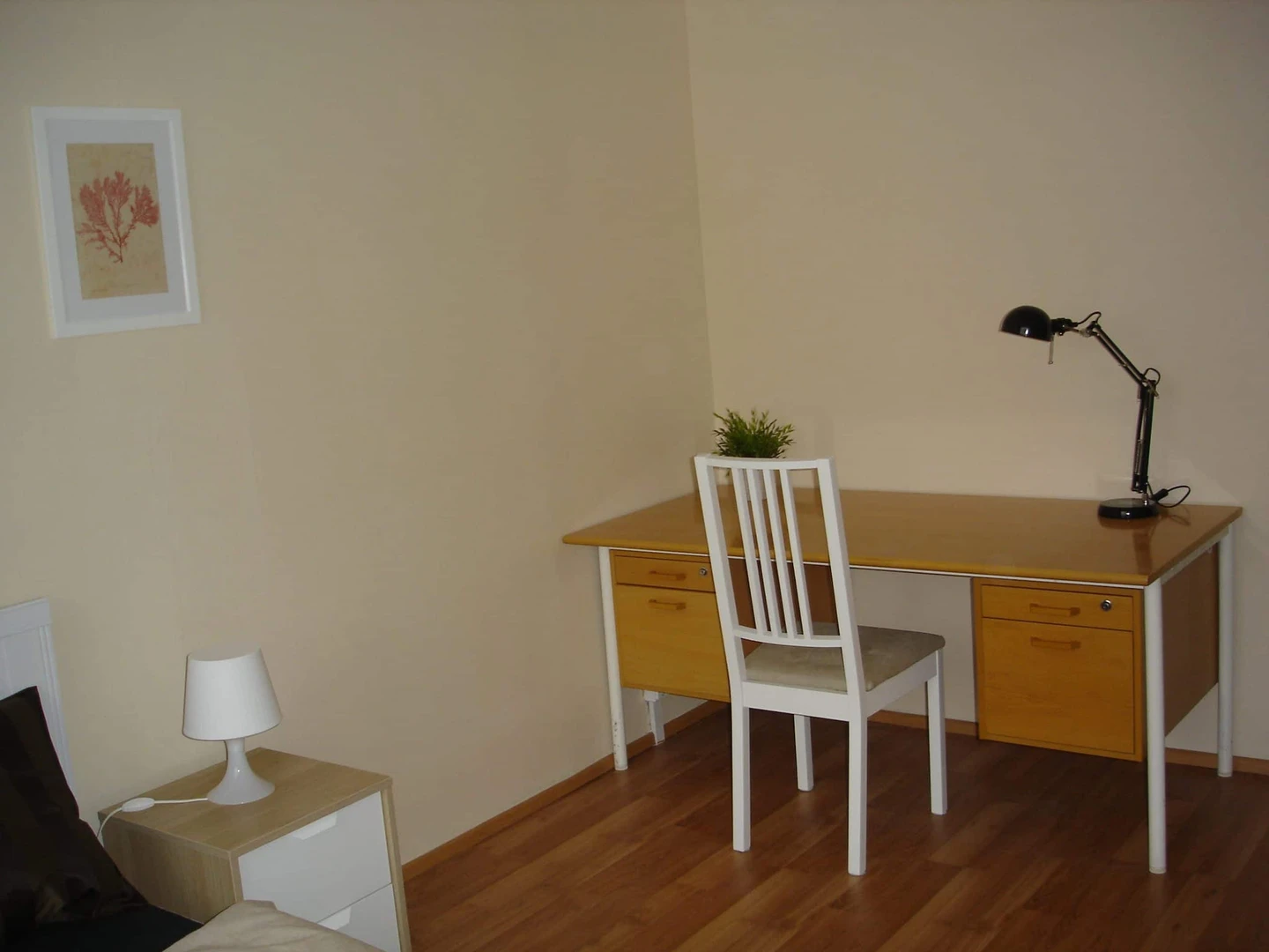 Room for rent in a shared flat in Prague