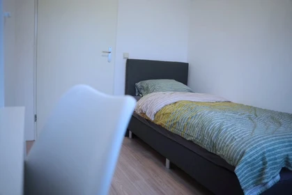 Zimmer mit Doppelbett zu vermieten Rotterdam