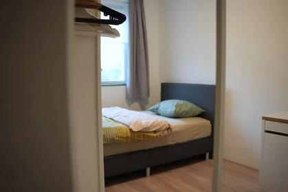 Room for rent in a shared flat in Rotterdam