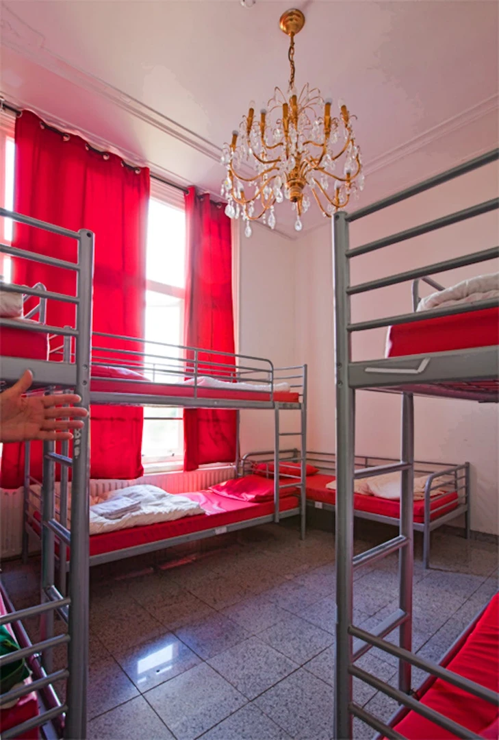 Chambre en colocation dans un appartement de 3 chambres Utrecht
