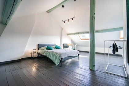 Cheap private room in Liege