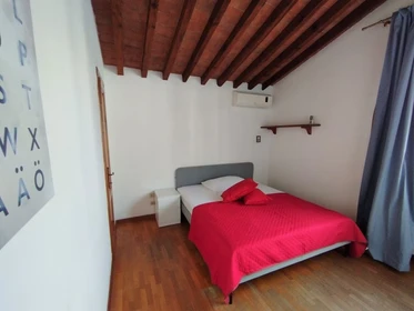 Stanza privata con letto matrimoniale Firenze