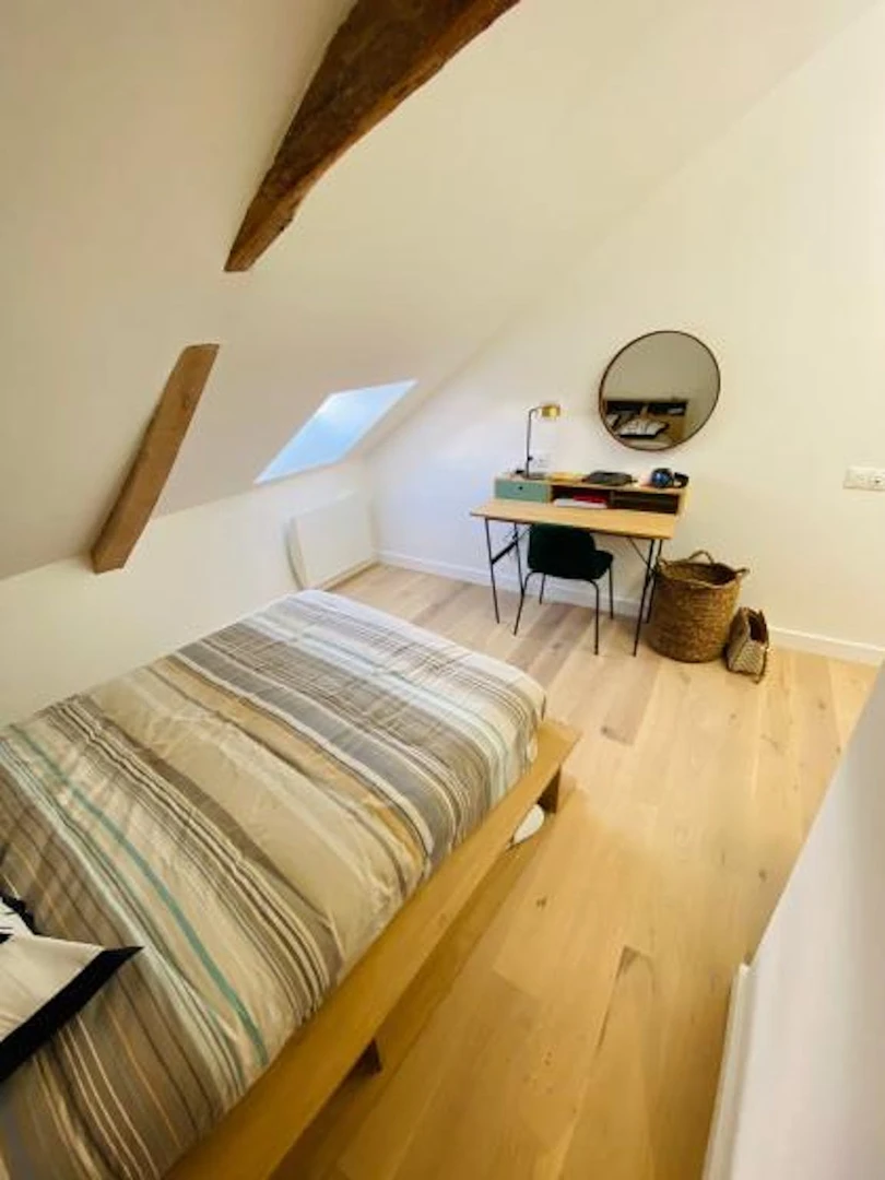 Bright private room in Lille