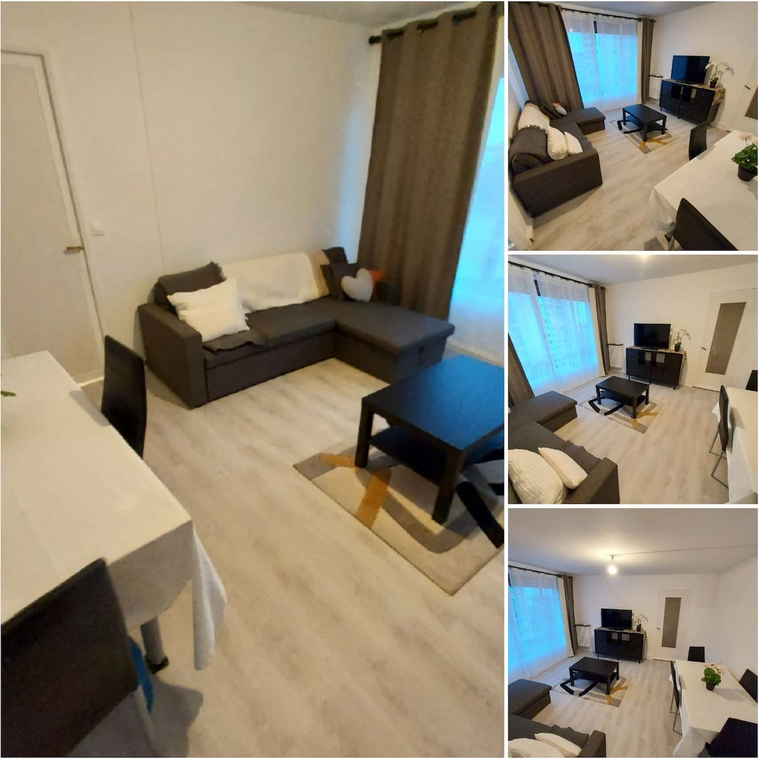 Room for rent in a shared flat in Orléans