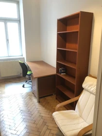 Room for rent in a shared flat in Wien