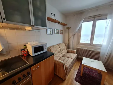 Entire apartment at Handelskai, 20. Bezirk-Brigittenau, image 3 of 10