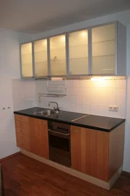 Entire apartment at Handelskai, 20. Bezirk-Brigittenau, image 4 of 10