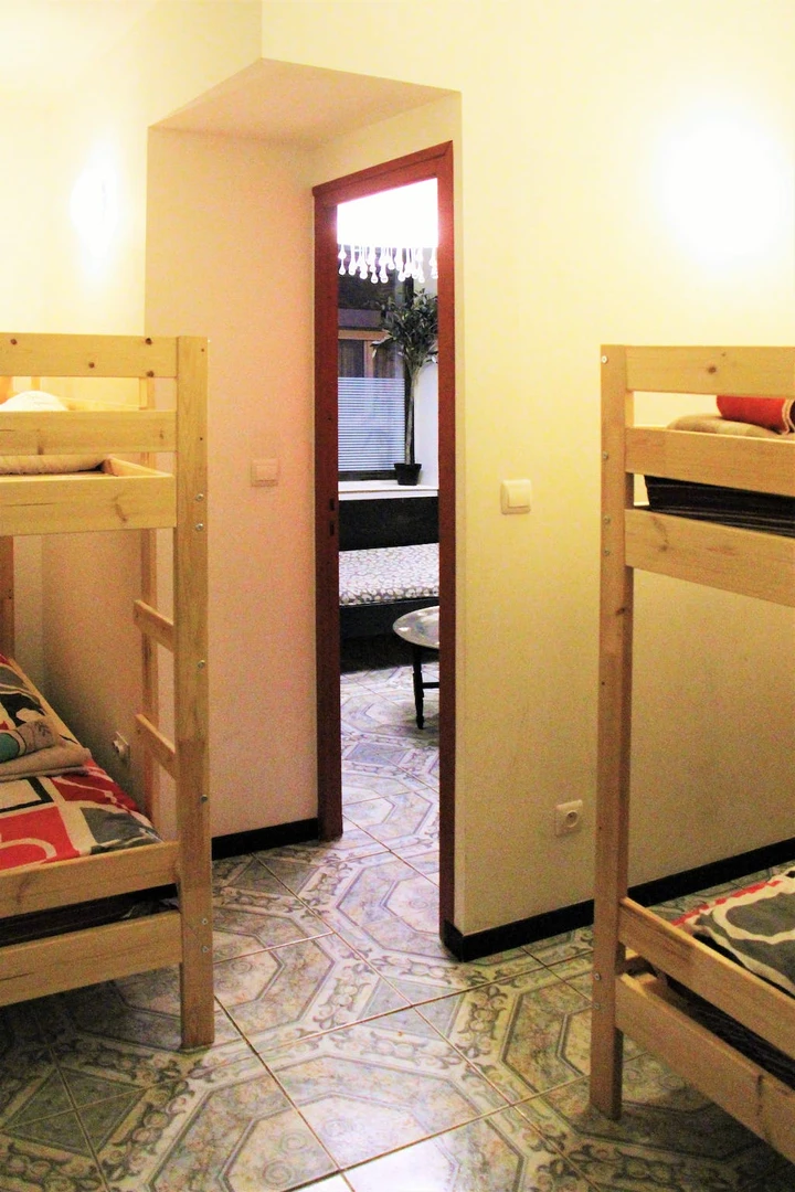 Alojamiento con 3 habitaciones en Lille