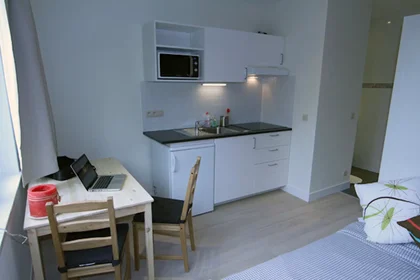 Logement entier à Rue Verbist, Sint-Joost, image 3 de 7