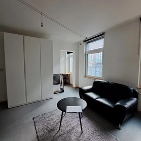 Entire fully furnished flat in Liege