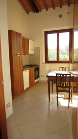 Entire fully furnished flat in Siena