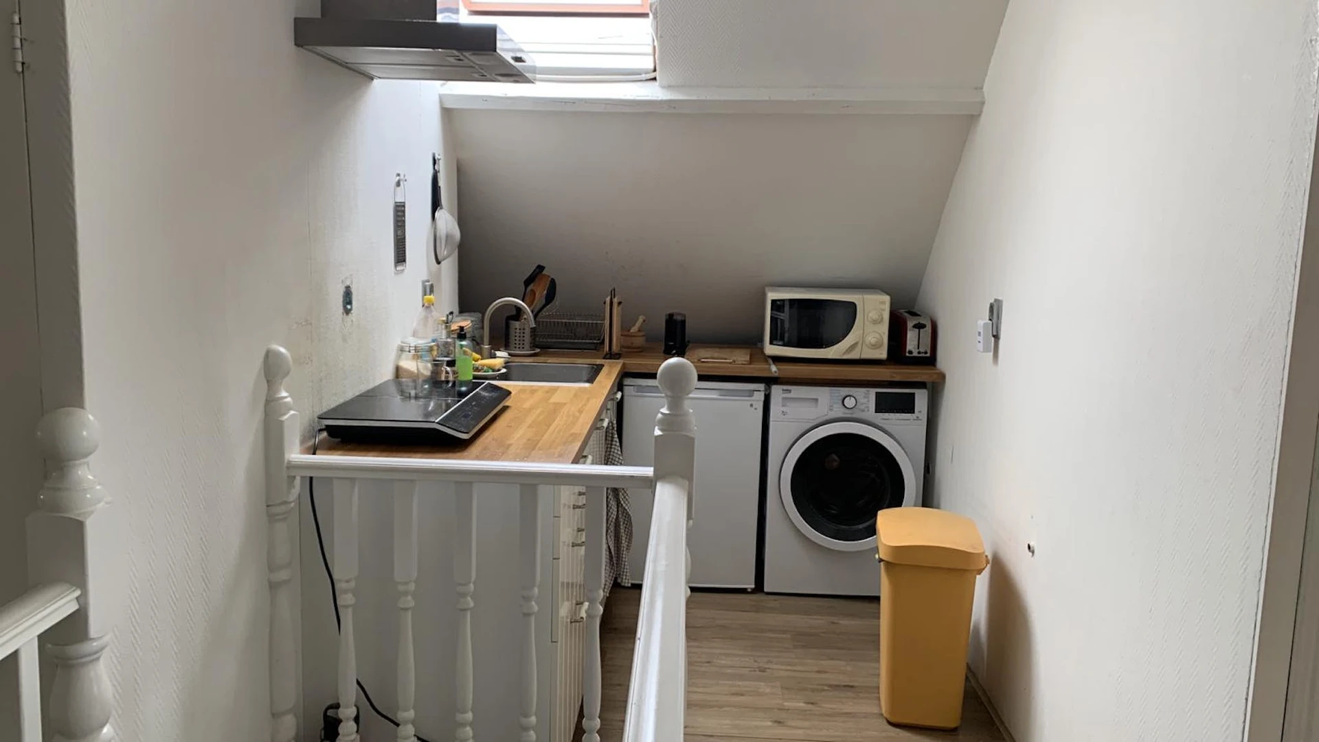 Entire fully furnished flat in den-haag