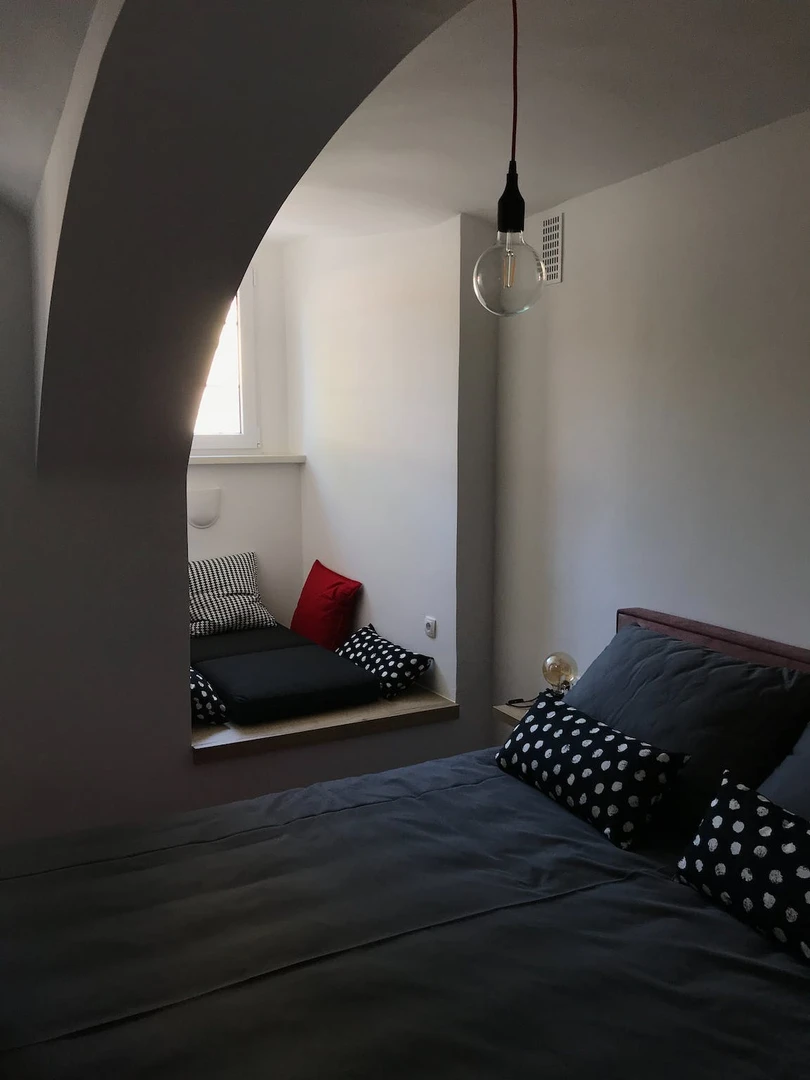 Accommodation with 3 bedrooms in Ljubljana