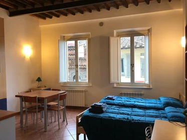 Accommodation with 3 bedrooms in Siena