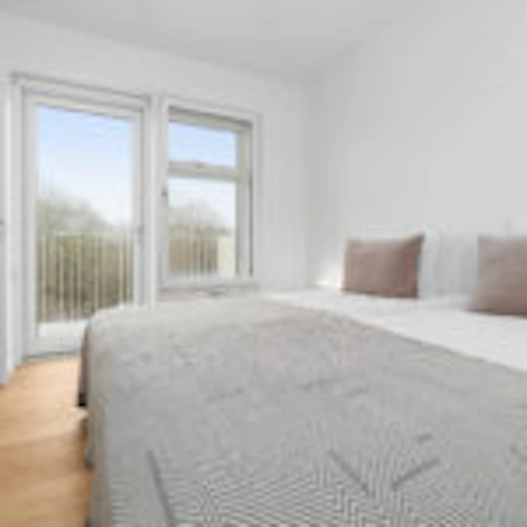 Entire fully furnished flat in Copenhagen