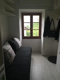 Entire fully furnished flat in Ljubljana