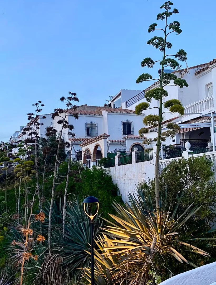 Urbanización Balcón de Málaga, La Cala del Moral