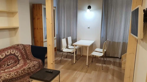 Entire fully furnished flat in Praha