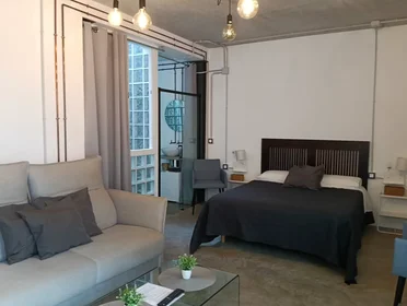 Apartamento inteiro em Plaza de la Corredera, San Pablo-San Francisco, imagem 1 de 10