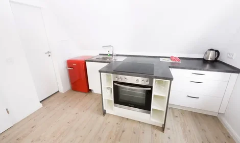 Entire apartment at Liebigstraße, Mitte, image 8 of 10