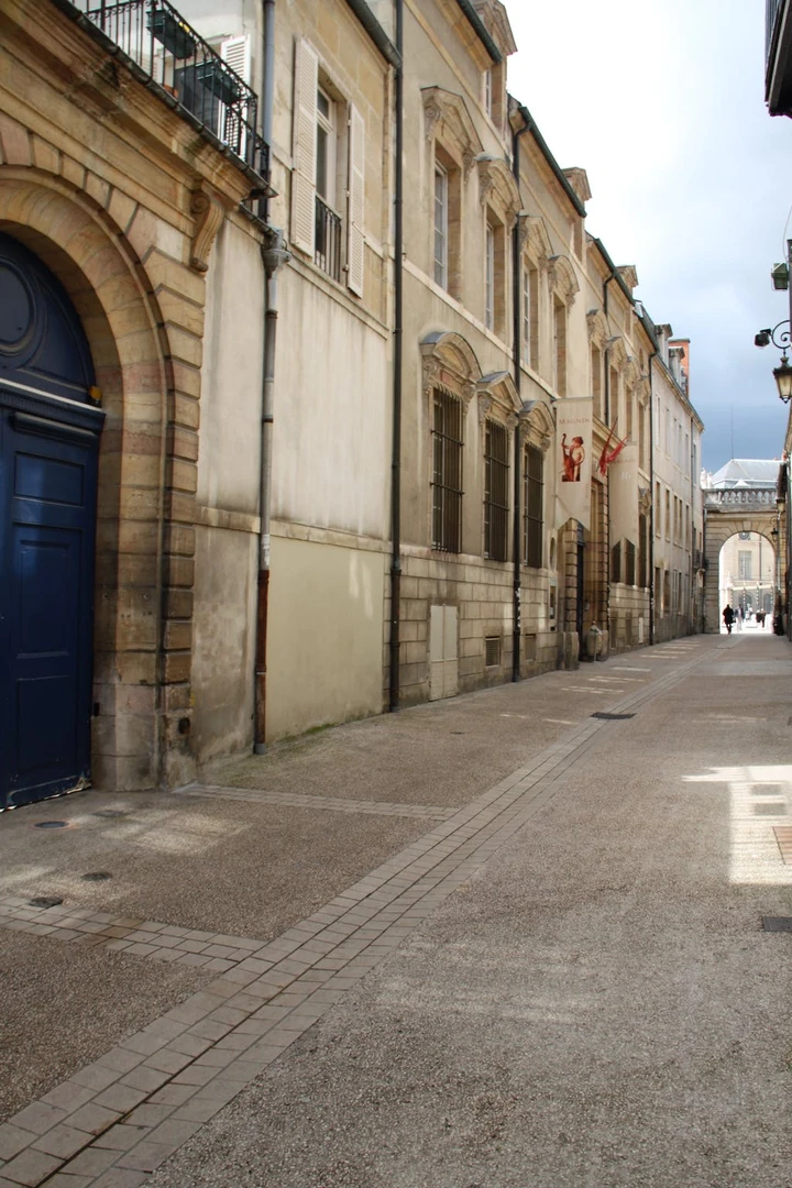 Alojamento centralmente localizado em Dijon