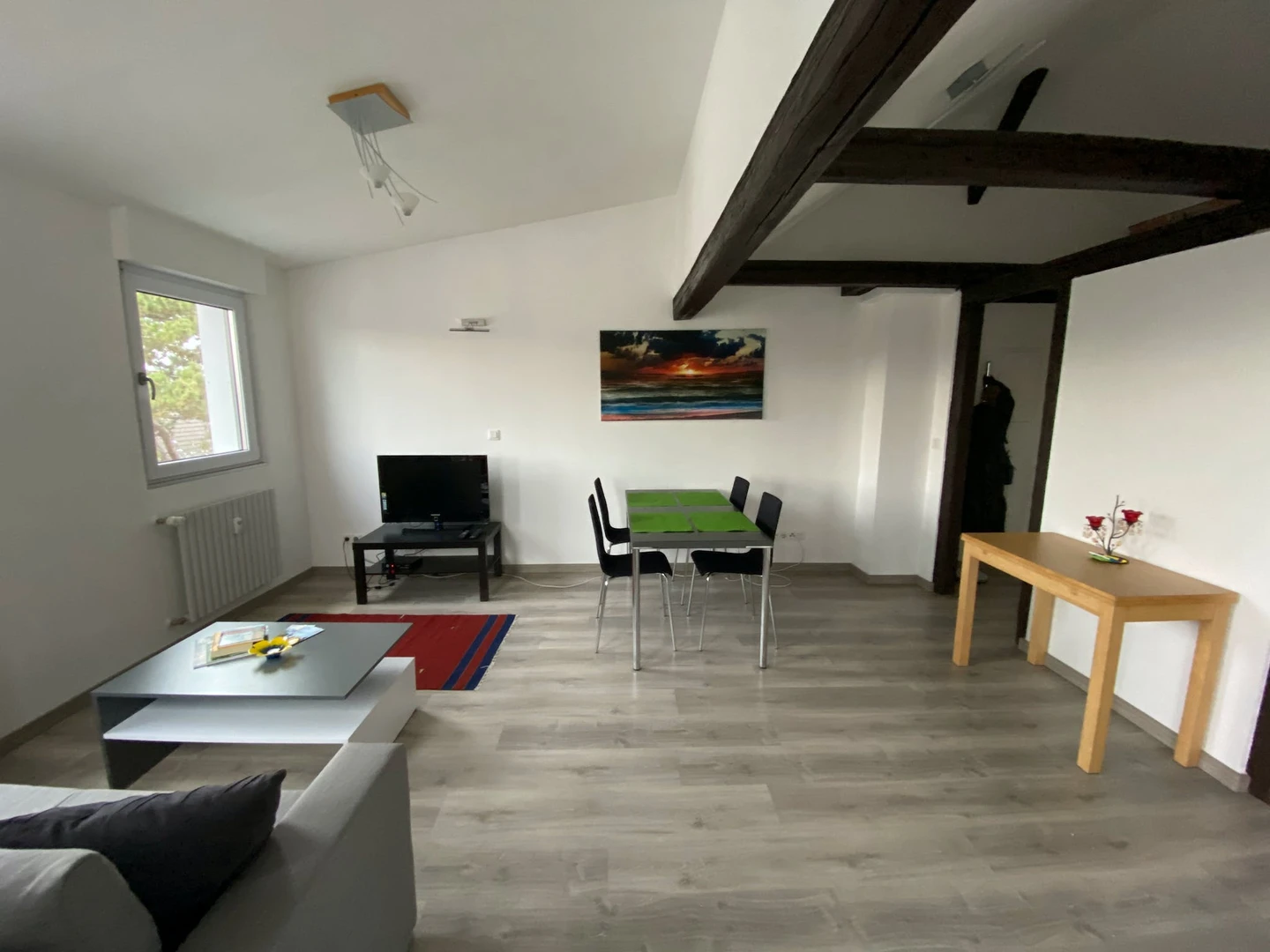 Alojamiento con 3 habitaciones en Darmstadt
