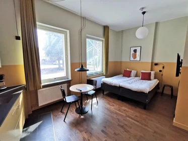 Accommodation in the centre of Malmo