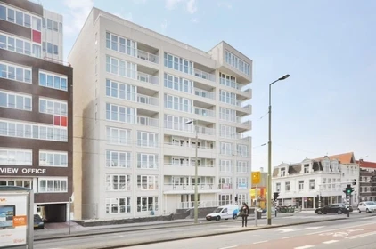 Apartamento entero totalmente amueblado  en Den-haag